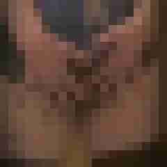 Eule_41