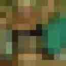dastin13