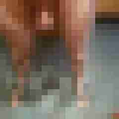 bringexlmit