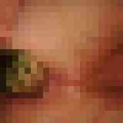 robertbilive