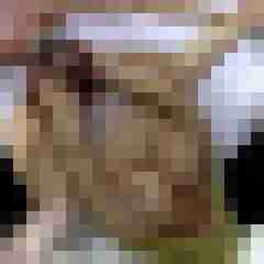 picturefreak