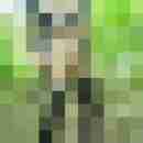 tvlochbln