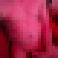 exib1