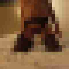 maxe_dwt