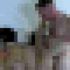 picturefreak