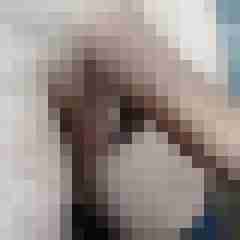 noctolus