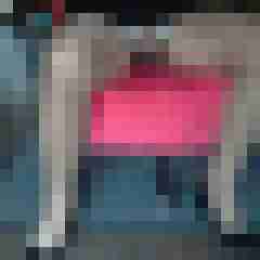 fsh-nylon-dwt