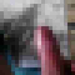 hornyxsar