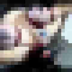 picturefreak