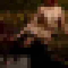 Phorus