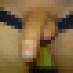 DomLuis