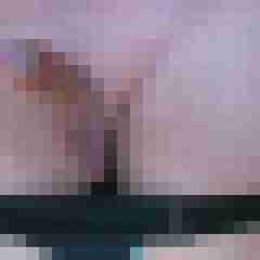 wilfried1234