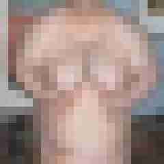 rubensbipaardo