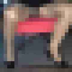 fsh-nylon-dwt