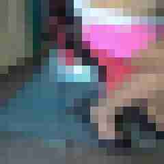 fsh-nylon-dwt