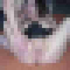 JolieNoir