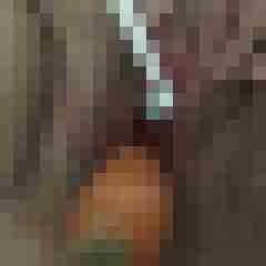 glaser1