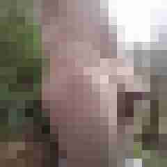 exib1