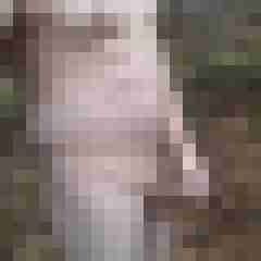 exib1