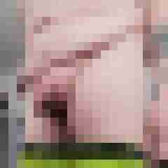 bikerfan666