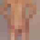 sisko123