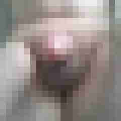 exib1