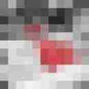reifundhot