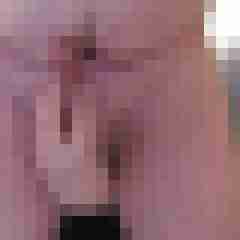 wilfried1234
