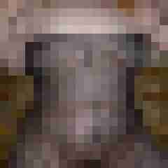 suessehex33