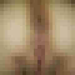ao_luder666