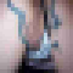 bunte8