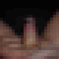 SirDomino