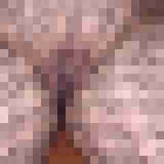 dresdenpaar1