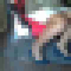 fsh-nylon-dwt