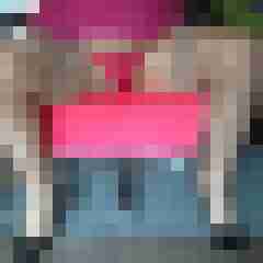 fsh-nylon-dwt
