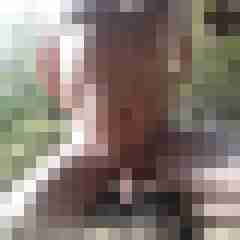 exib1