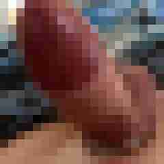 FFreund