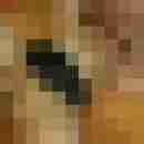 annadevot