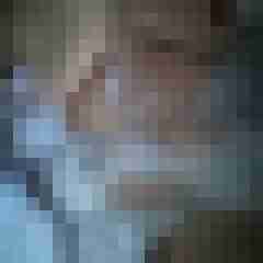Mistbiene