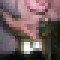 robertbilive