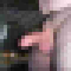 robertbilive