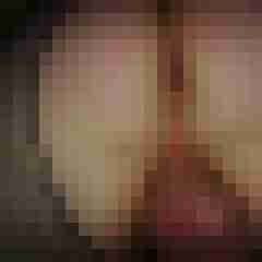 robertbilive