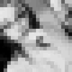 LeoniGE