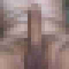ld_littledick