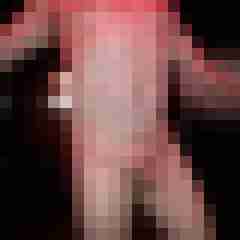 exib1