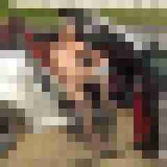 publicstute