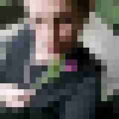 Mistbiene