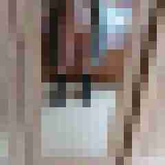 devote-x-stute