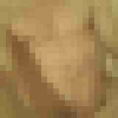 Dominant_Bull