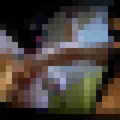 picturefreak